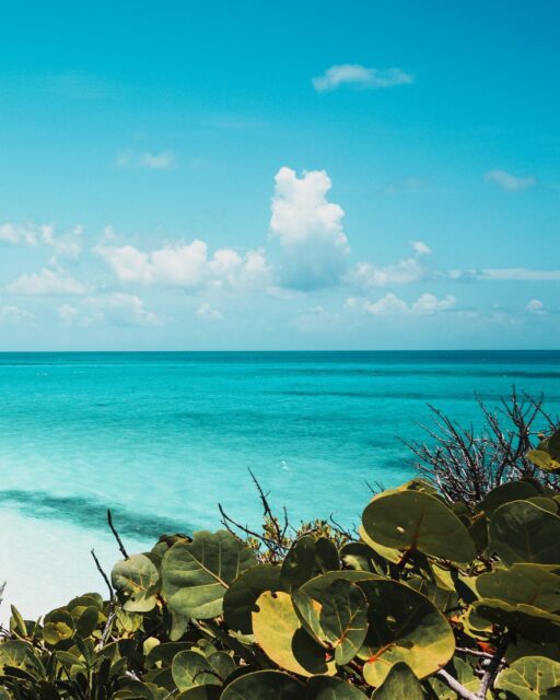 📍Bahamas
#voyage #bahamas  #travel #photography #photo #photooftheday #photographer #bahamas🌴  #traveler #voyageursdumonde #tips #caraïbes #caraiva #caraibbean