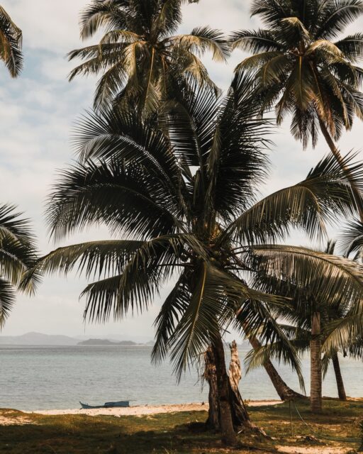 📍Philippines
#pilipinas #philippines  #photography #sunrise #photooftheday #photographer #travel #voyage #sunset #sony #sonyalpha #explore #voyageursdumonde #asie #asia #sky #sea